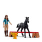 schleich-81539-turniersieg-mit-flocke-039EFFD41.jpg