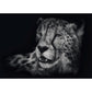 Schmidt Spiele Puzzle - Speed, Gepard, Im Zeichen der Anmut, 1000 Teile