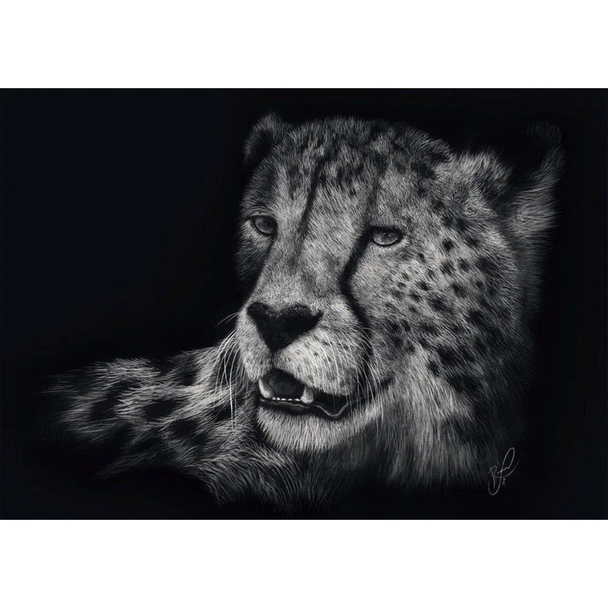 Schmidt Spiele Puzzle - Speed, Gepard, Im Zeichen der Anmut, 1000 Teile