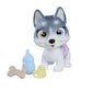 simba-pamper-petz-husky-15-CBBEB3562.jpg