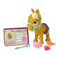 simba-pamper-petz-pony-24-42C4EE2B1.jpg