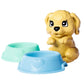 simba-steffi-love-cute-pet-40A3D9468.jpg