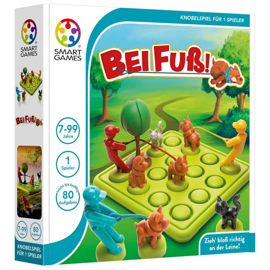 smart-games-bei-fuss-5BCD415D1.jpg