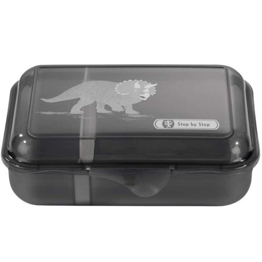 step-by-step-lunchbox-mit-52EC78D41.jpg