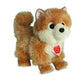 teddy-herrmann-zwergspitz-stehend-22-CD8BD68A1.jpg