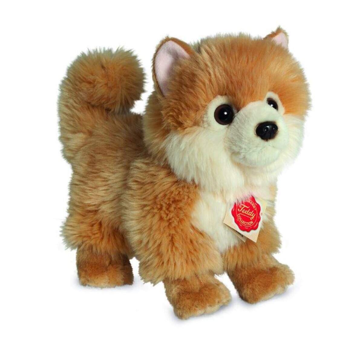 teddy-herrmann-zwergspitz-stehend-22-CD8BD68A1.jpg