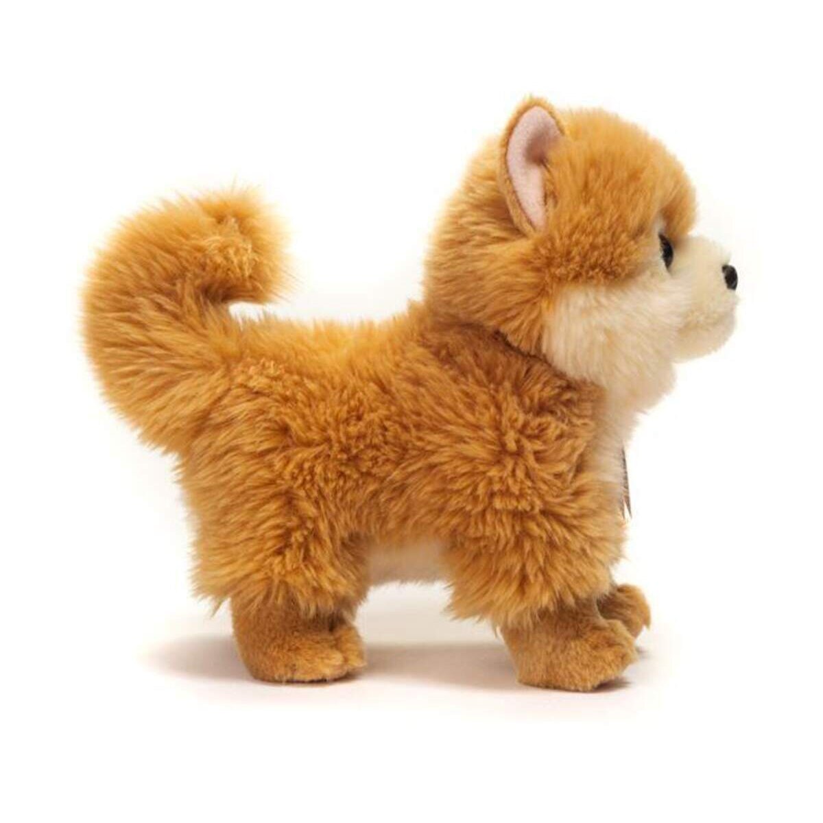 teddy-herrmann-zwergspitz-stehend-22-CD8BD68A2.jpg