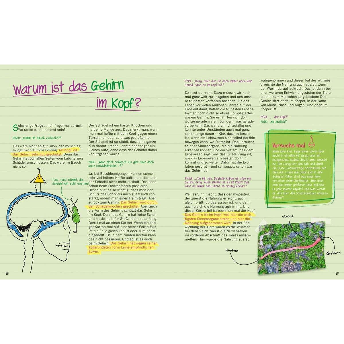 tessloff-buch-warum-graue-zellen-7D6EAE274.jpg