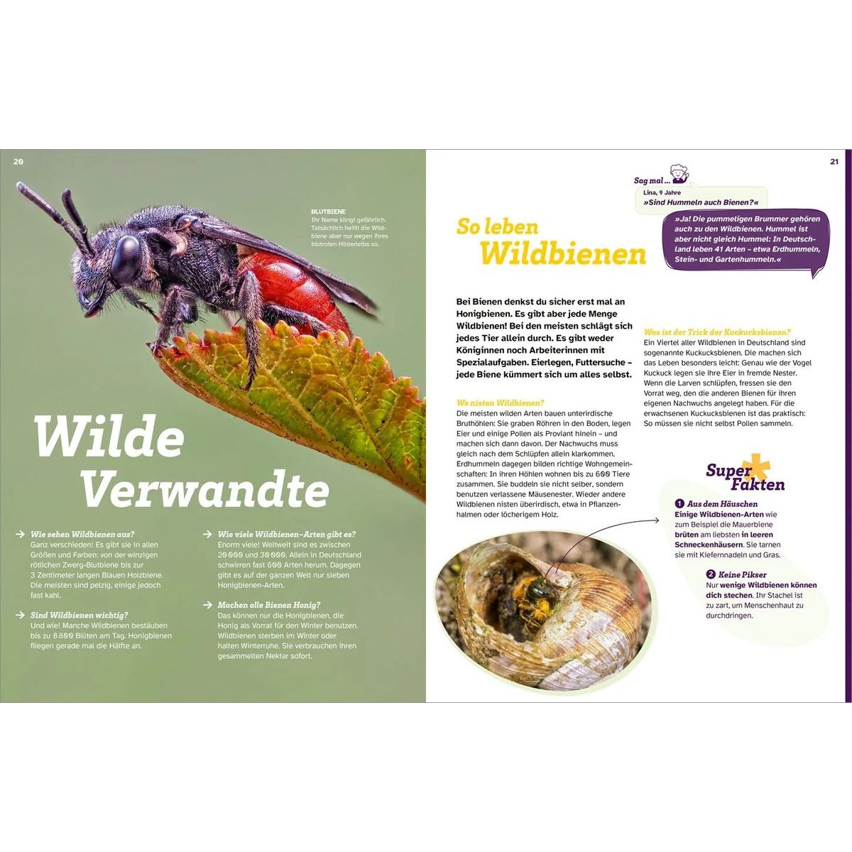tessloff-was-ist-was-bienen-B95FCE6F4.jpg