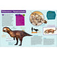 tessloff-was-ist-was-dinosaurier-779484453.jpg