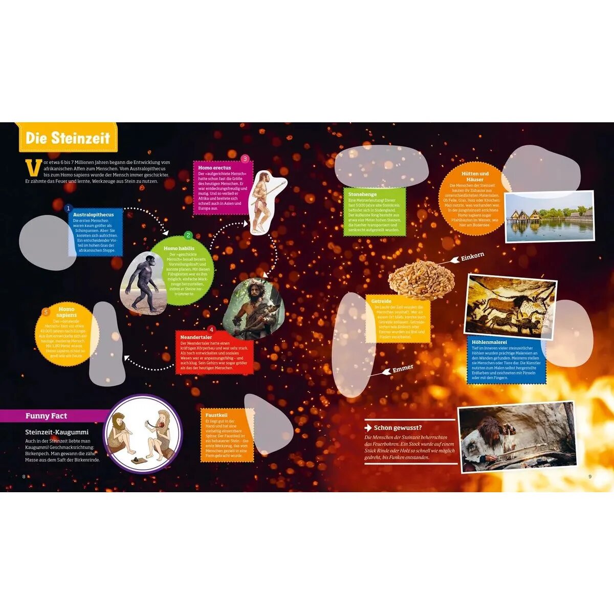 tessloff-was-ist-was-stickerheft-1A9FA60B3.jpg