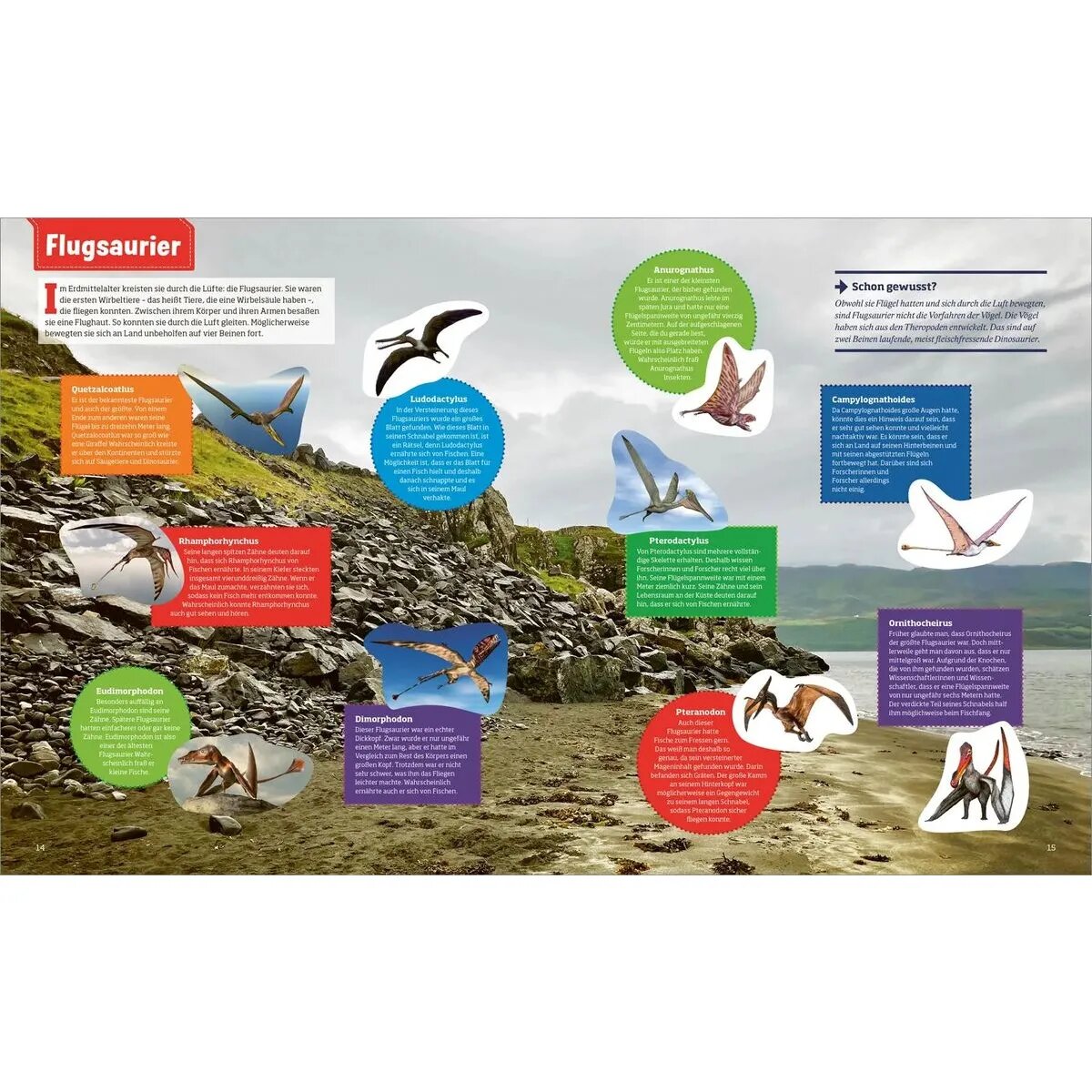 tessloff-was-ist-was-stickerheft-6F3FA60B3.jpg