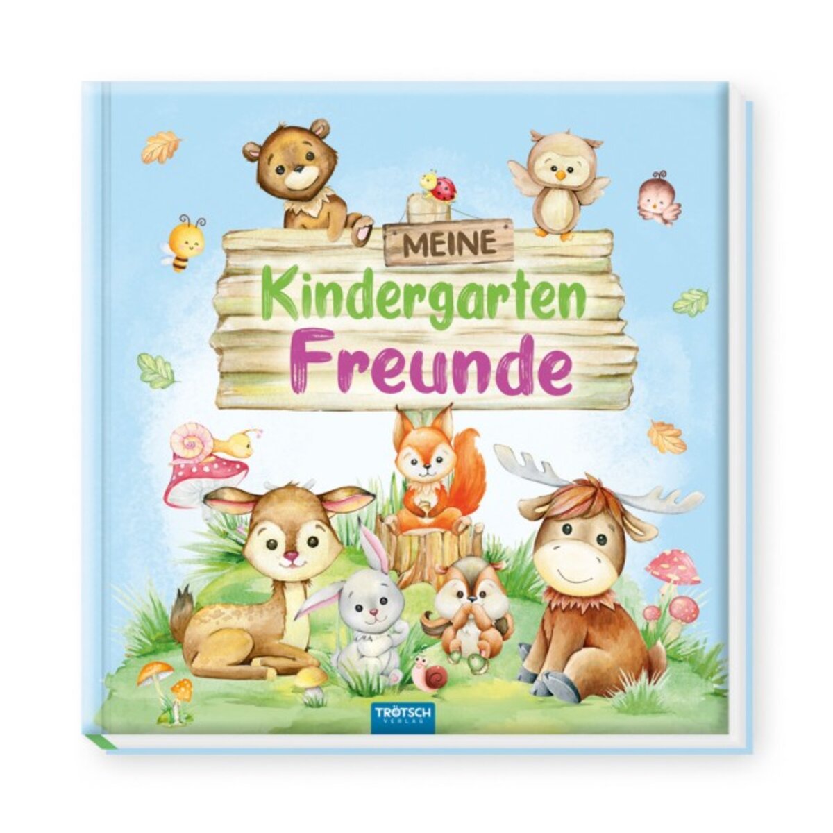 troetsch-freundebuch-meine-kindergartfen-freunde-F607F1481.jpg