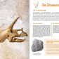 ars Edition 100 Sachen die Geschichte machten - Von der Bronzeaxt bis zum Roboter
