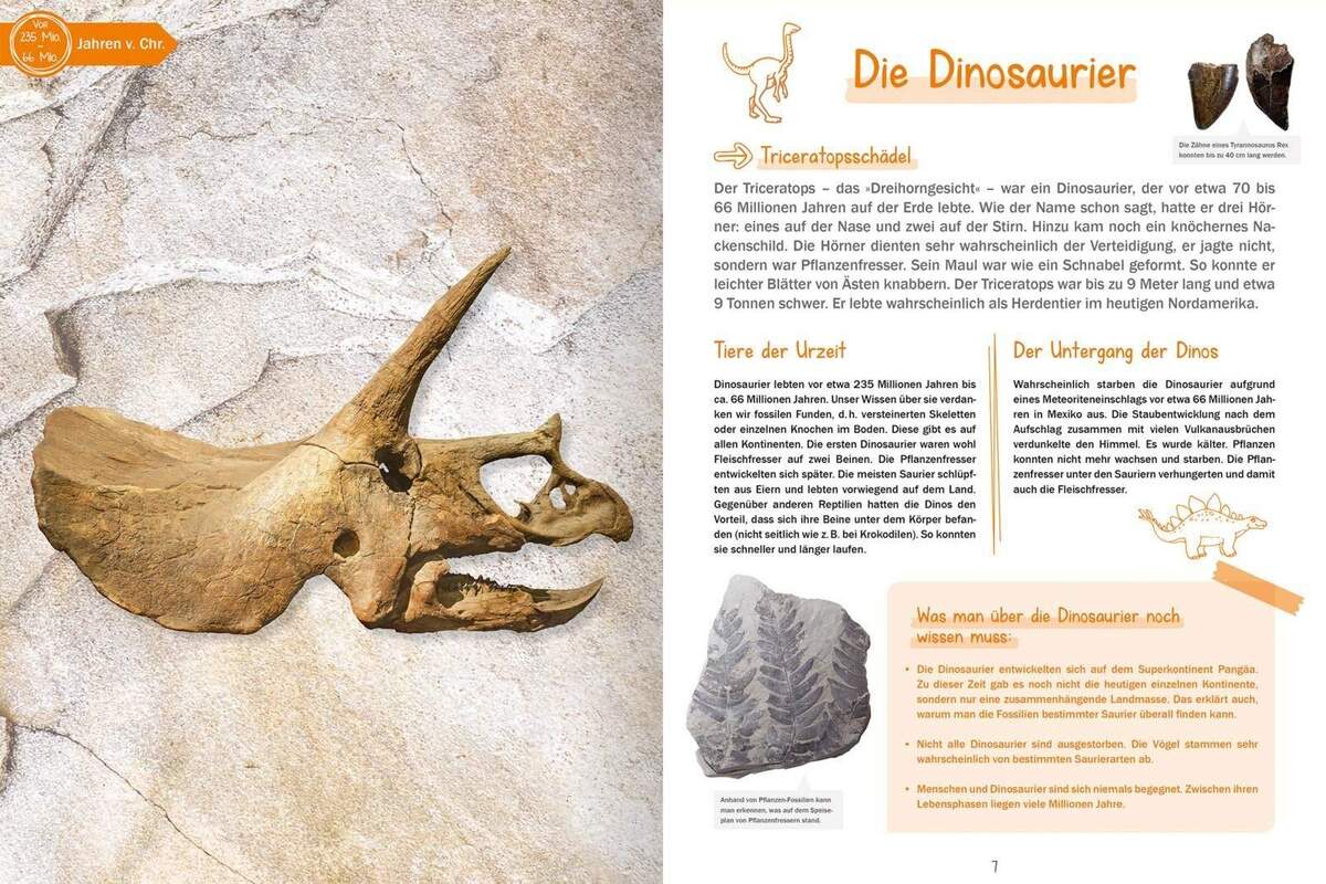 ars Edition 100 Sachen die Geschichte machten - Von der Bronzeaxt bis zum Roboter