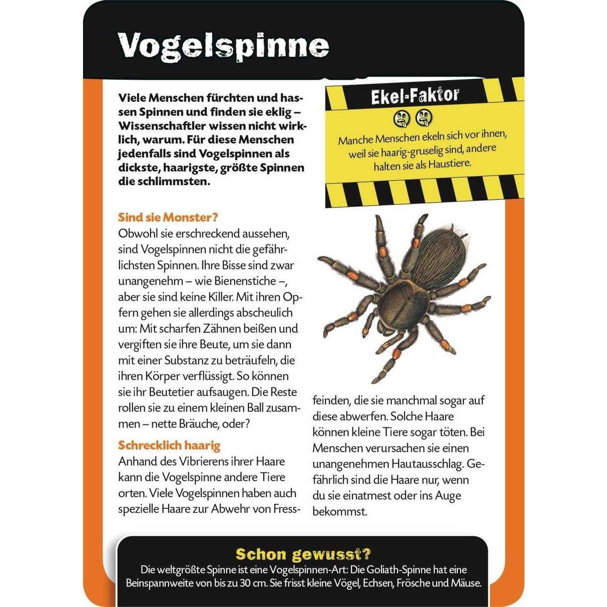 ars Edition Buch - Die 100 ekligsten Dinge der Welt