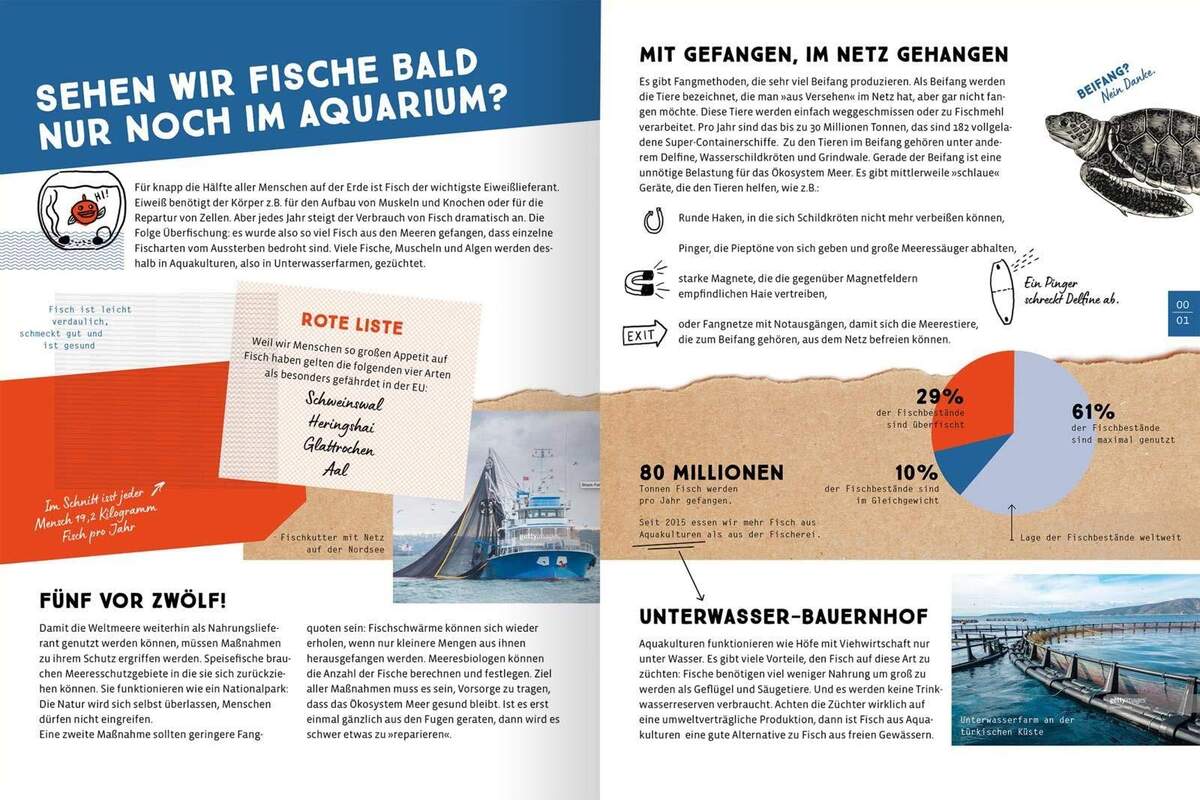 ars Edition Buch Mein weit gereister Erdbeerjoghurt: Wie unsere Ernährung die Umwelt beeinflusst