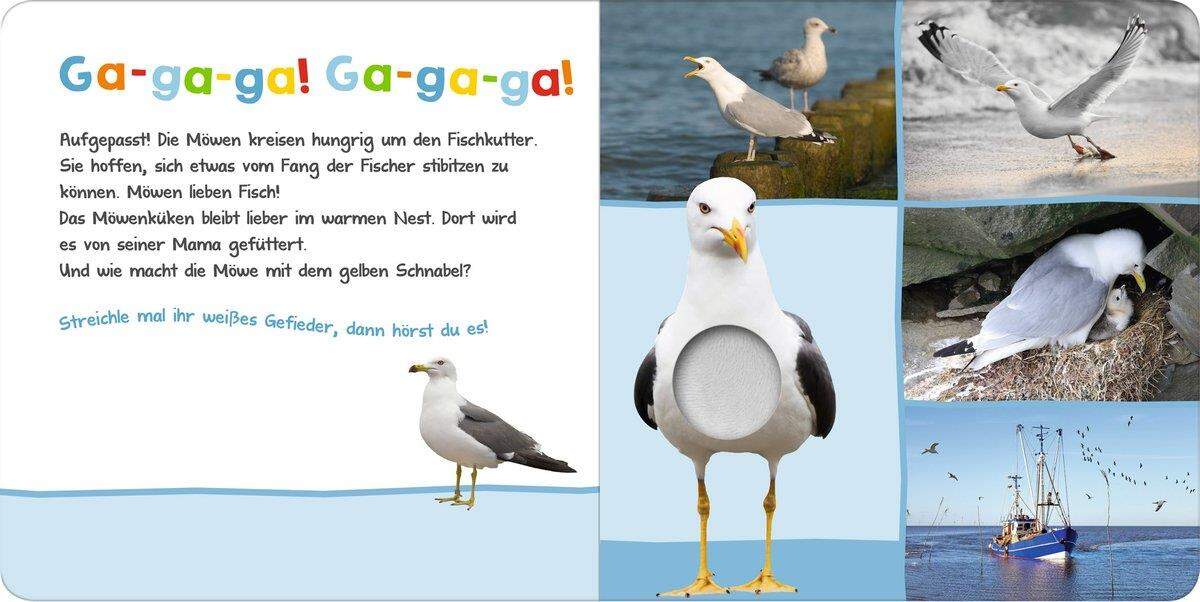 ars Edition Hör mal rein wer, kann das sein? Am Meer