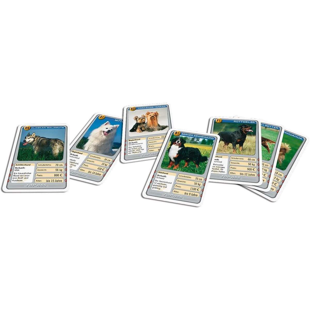 ASS Altenburger TOP ASS Hunde Quartett Kartenspiel