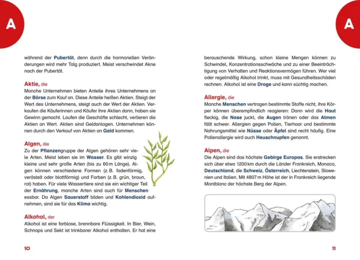 Carlsen Verlag Das Grundschullexikon