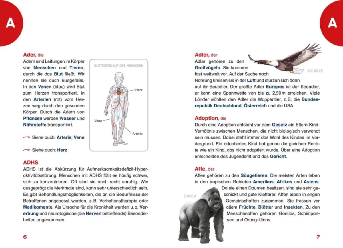 Carlsen Verlag Das Grundschullexikon