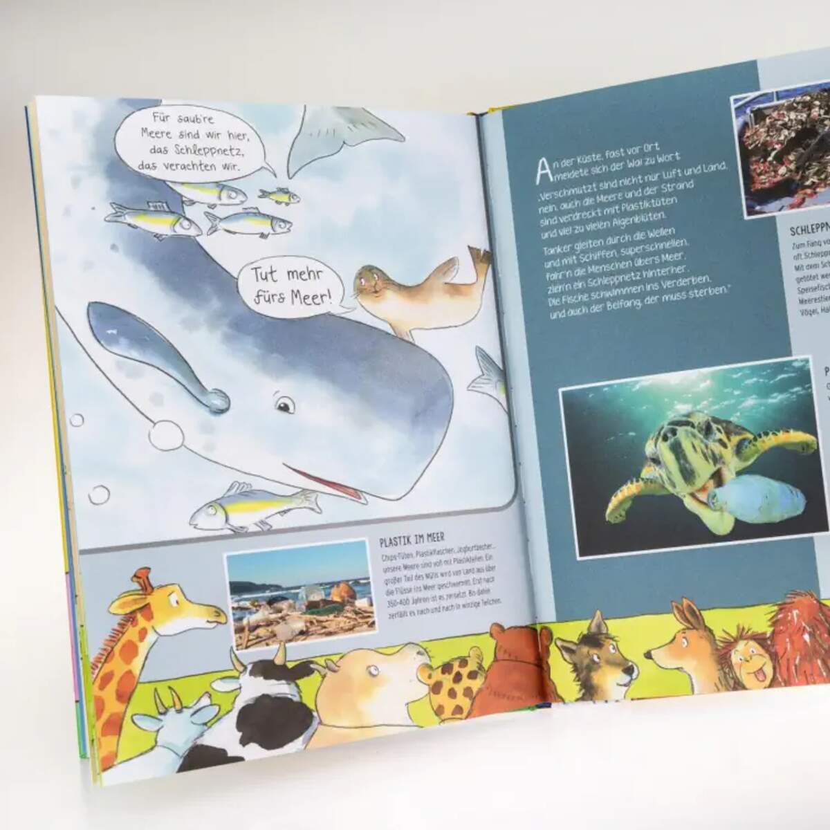 Carlsen Verlag Die Umweltkonferenz der Tiere von Anita van Saan, Dorothea Tust