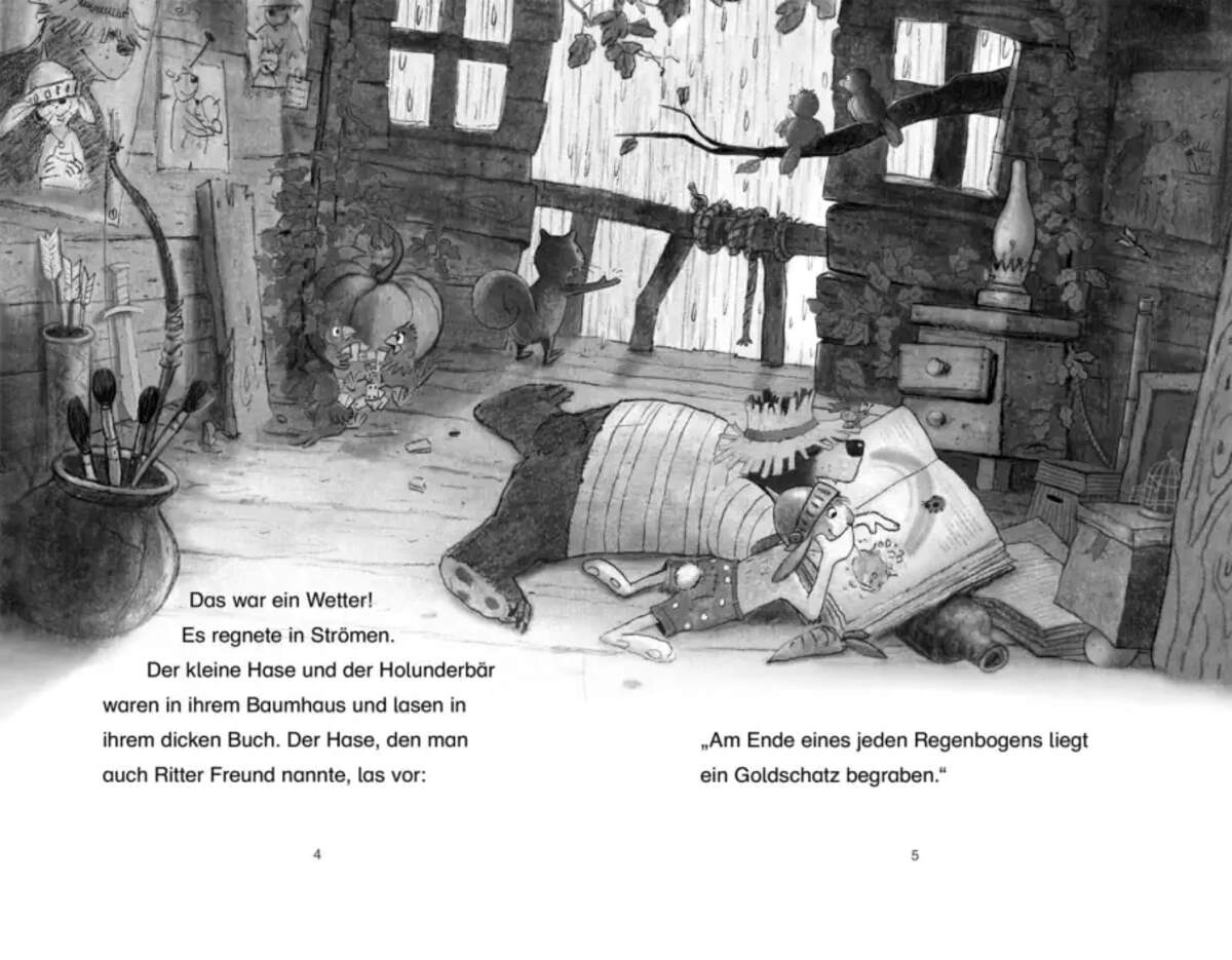Carlsen Verlag Doppelband - Hase & Holunderbär: Der Schatz Holunderinsel / Der Dieb in der Heide