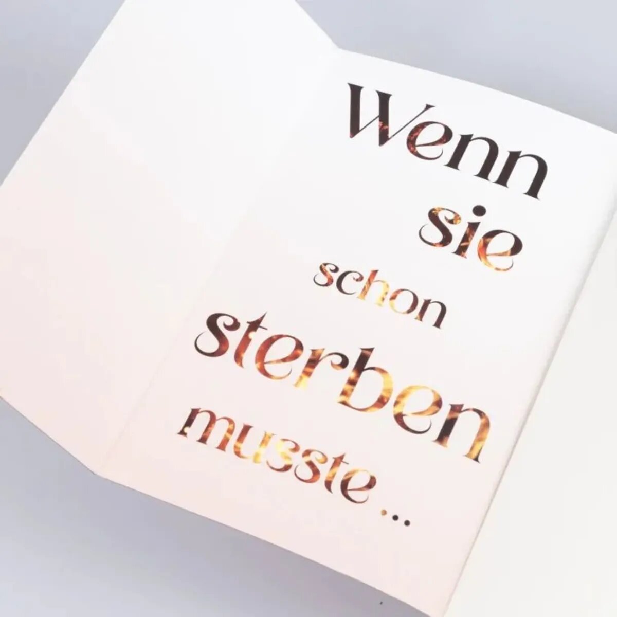 Carlsen Verlag Fire Fallen (Die Chroniken von Solaris 2)