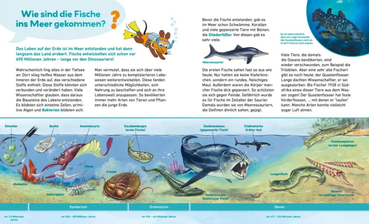 Carlsen Verlag Frag doch mal ... die Maus: Meere und Ozeane