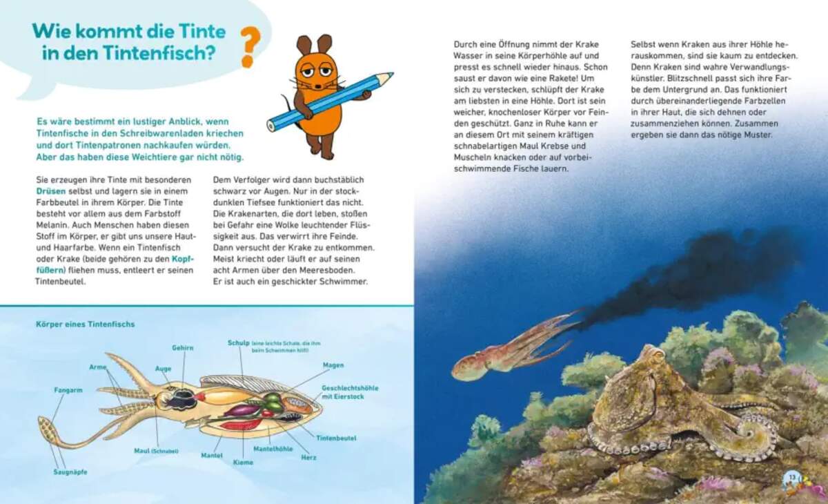 Carlsen Verlag Frag doch mal ... die Maus: Meere und Ozeane