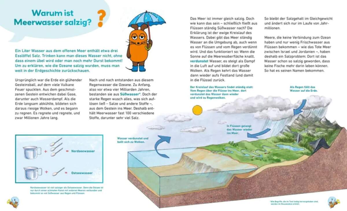 Carlsen Verlag Frag doch mal ... die Maus: Meere und Ozeane