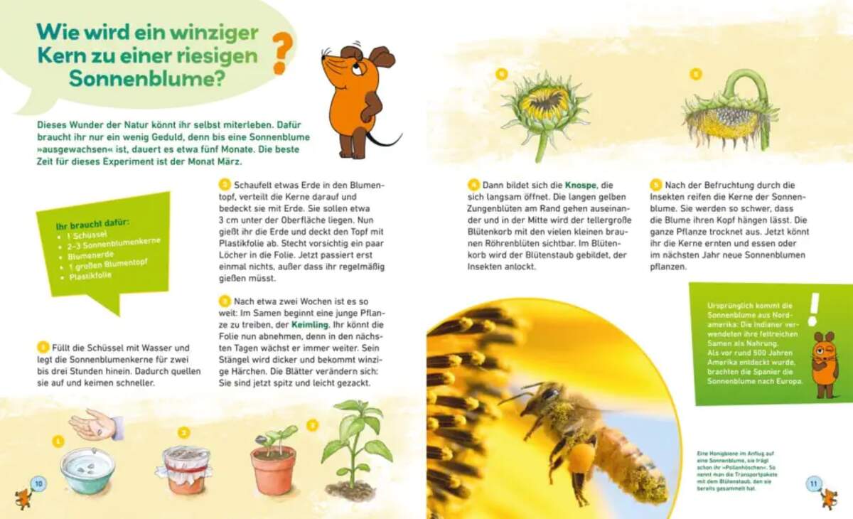 Carlsen Verlag Frag doch mal ... die Maus: In der Natur von Martina Gorgas, Jutta Knipping