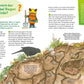 Carlsen Verlag Frag doch mal ... die Maus: In der Natur von Martina Gorgas, Jutta Knipping