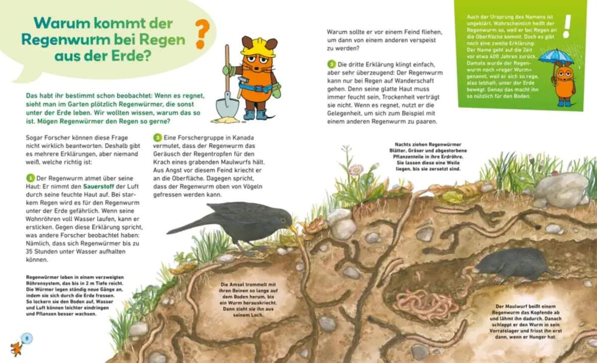 Carlsen Verlag Frag doch mal ... die Maus: In der Natur von Martina Gorgas, Jutta Knipping