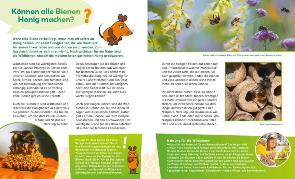 Carlsen Verlag Frag doch mal ... die Maus: In der Natur von Martina Gorgas, Jutta Knipping