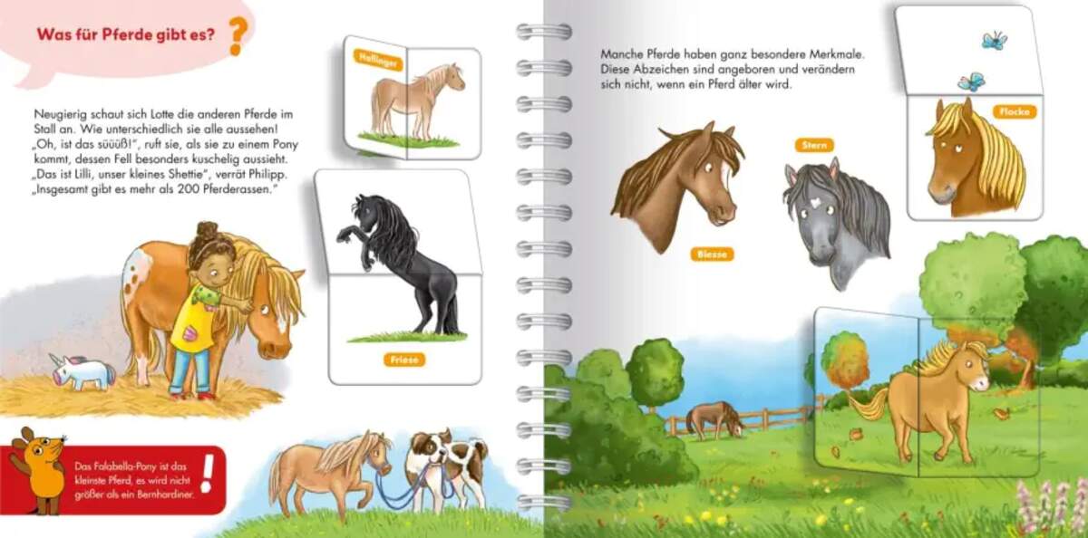 Carlsen Verlag Frag doch mal ... die Maus: Pferde und Ponys