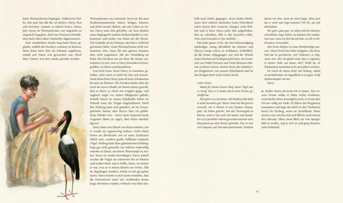 Carlsen Verlag Harry Potter und der Feuerkelch (farbig illustrierte Schmuckausgabe)