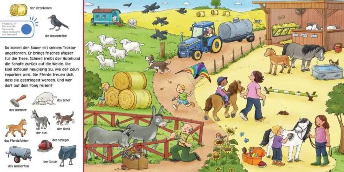 Carlsen Verlag Hör mal (Soundbuch): Wimmelbuch: Auf dem Bauernhof