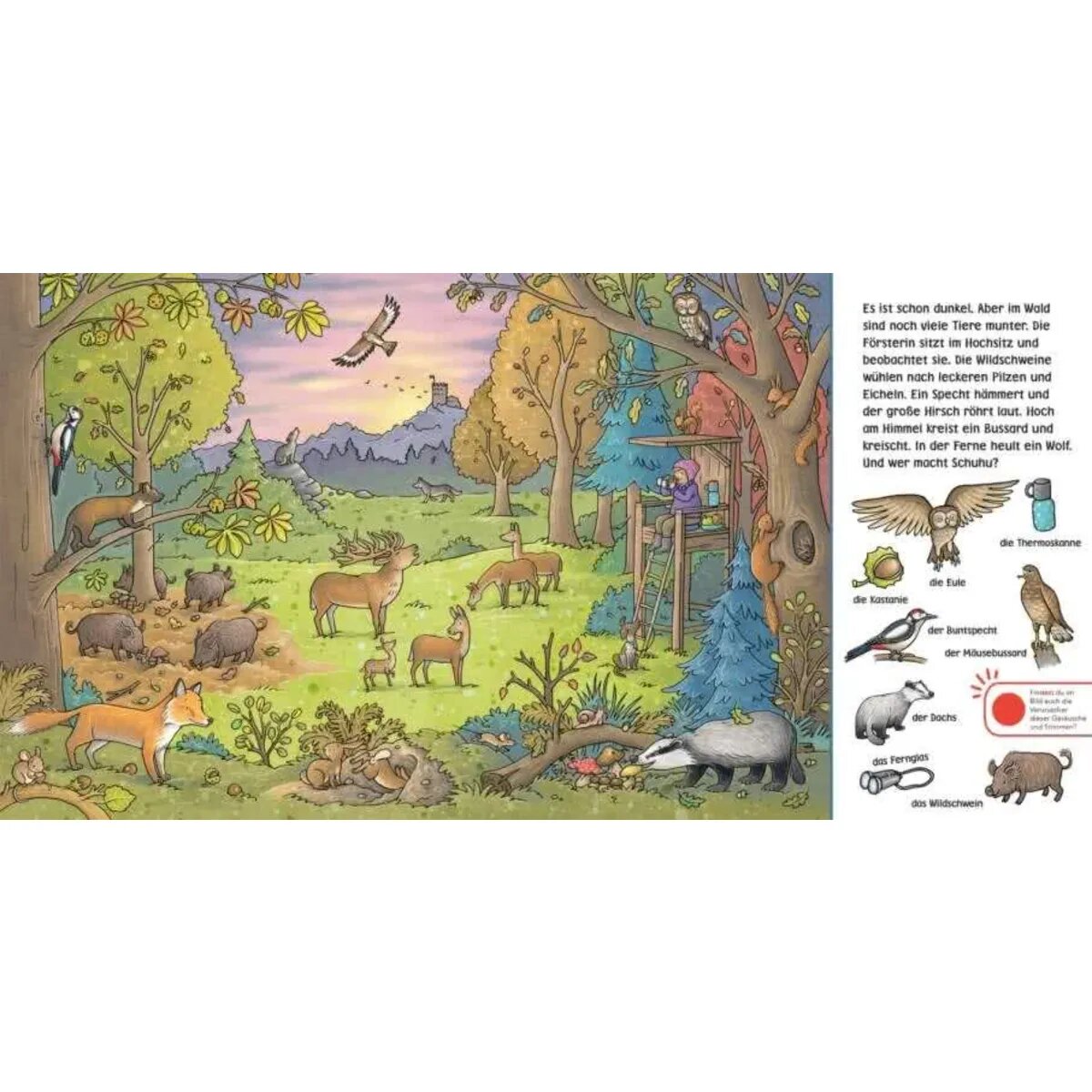 Carlsen Verlag Hör mal (Soundbuch): Wimmelbuch: Wald und Wiese