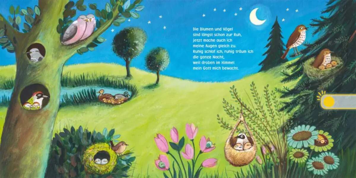 Carlsen Verlag Hör mal (Soundbuch): Verse für Kleine: Müde bin ich, geh zur Ruh ...