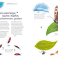 Carlsen Verlag Insekten – Wissen und allerlei Drumherum
