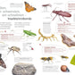 Carlsen Verlag Insekten – Wissen und allerlei Drumherum