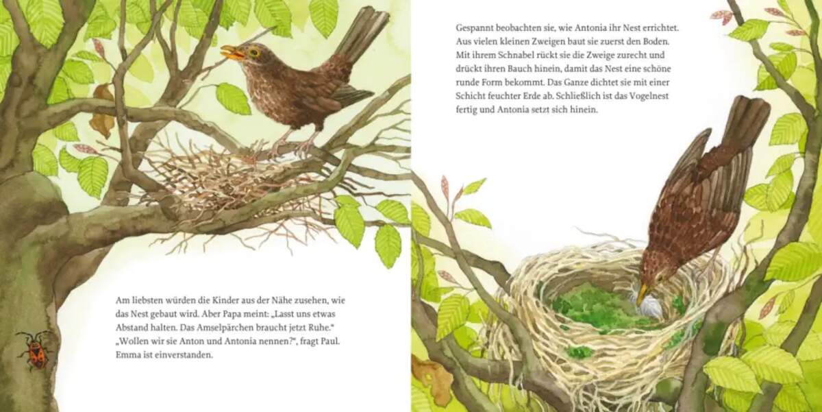 Carlsen Verlag LESEMAUS 108: Das Vogelnest