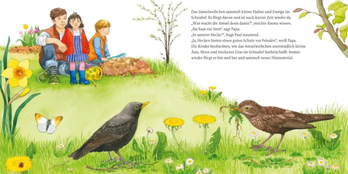 Carlsen Verlag LESEMAUS 108: Das Vogelnest