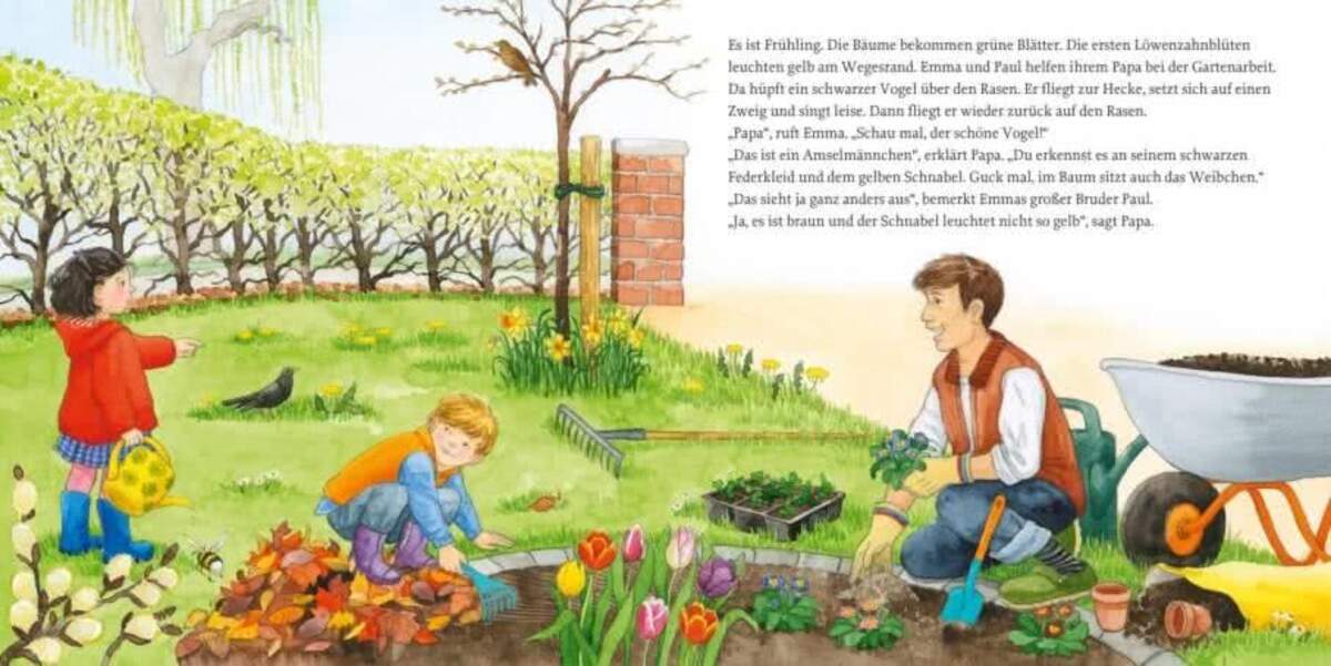 Carlsen Verlag LESEMAUS 108: Das Vogelnest