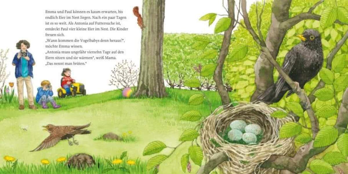 Carlsen Verlag LESEMAUS 108: Das Vogelnest