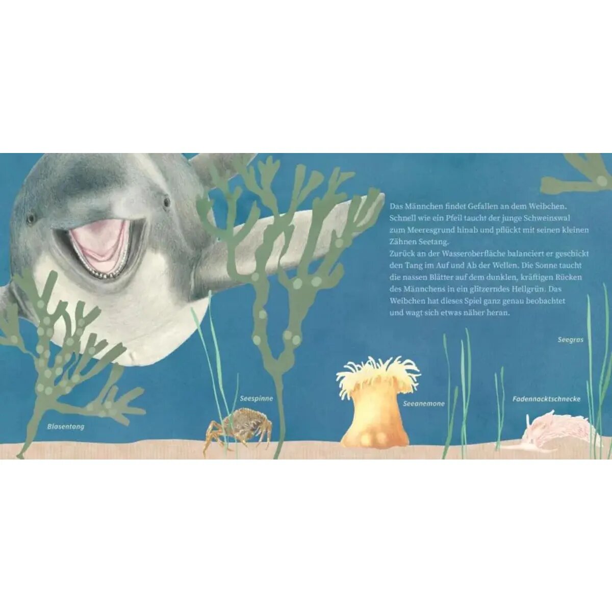 Carlsen Verlag LESEMAUS 135: Der kleine Wal und das Meer