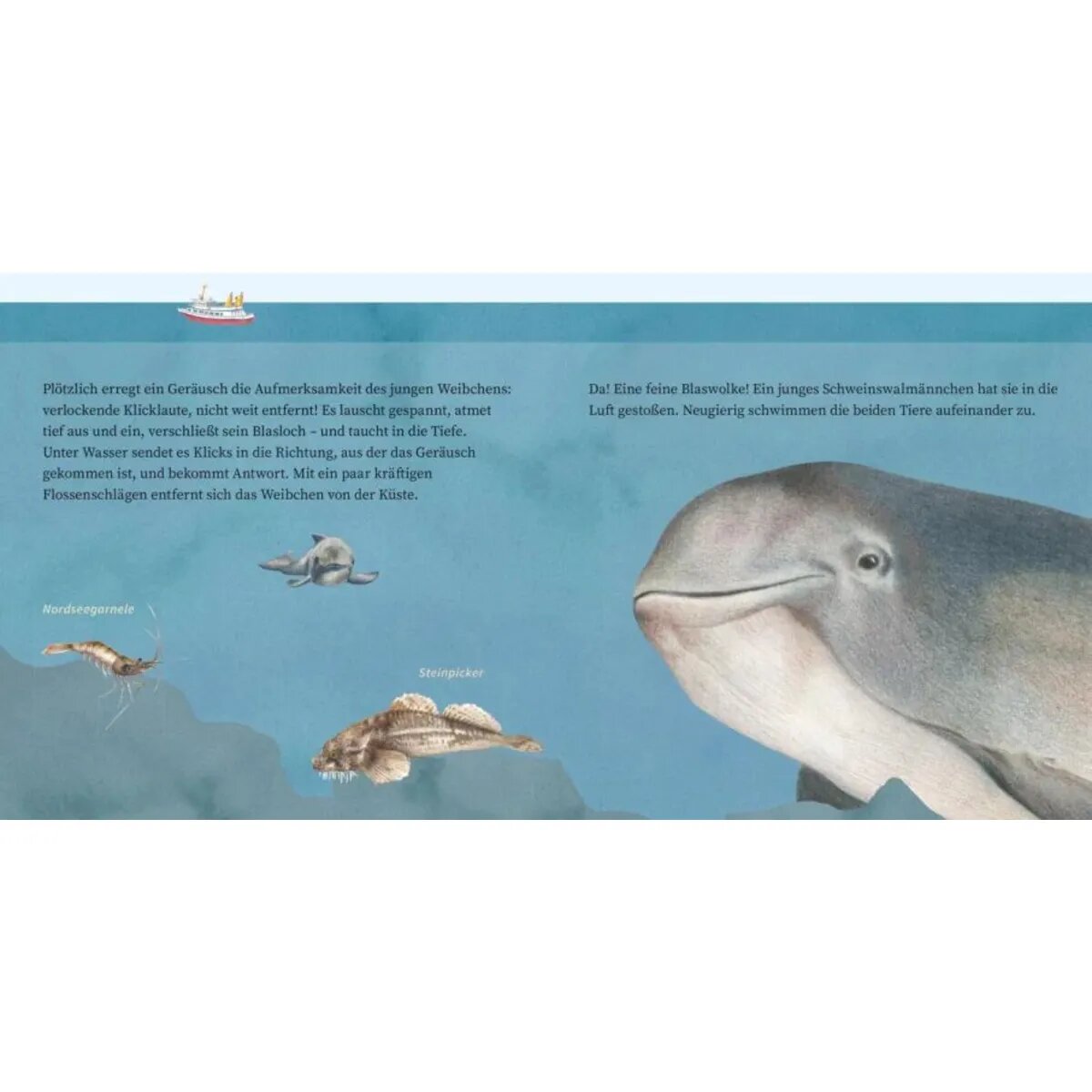 Carlsen Verlag LESEMAUS 135: Der kleine Wal und das Meer