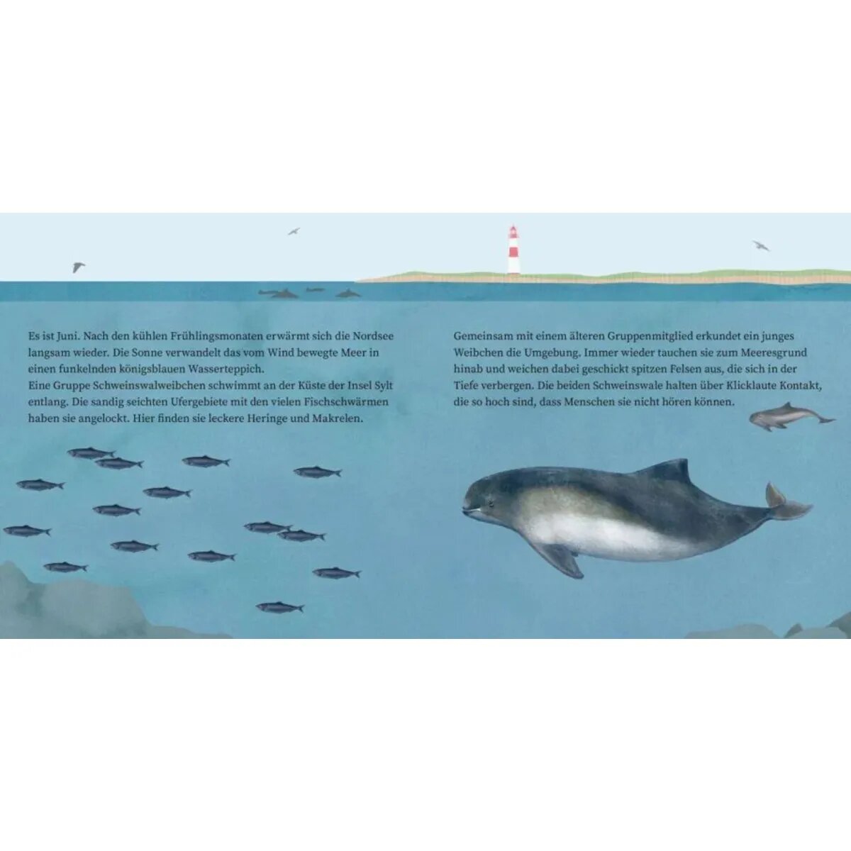 Carlsen Verlag LESEMAUS 135: Der kleine Wal und das Meer