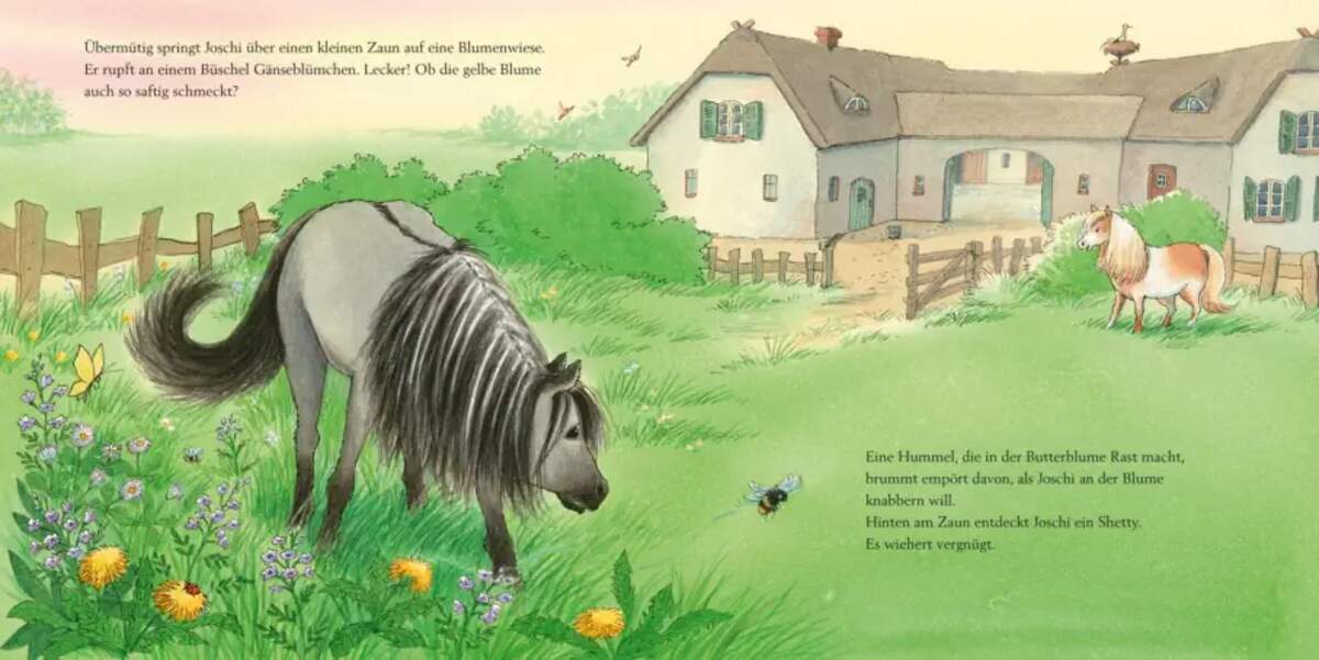 Carlsen Verlag LESEMAUS 147: Ein Tag bei den Wildpferden